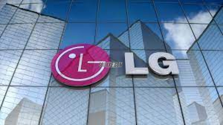 صيانة ثلاجة دوبلكس LG بالمحلة الكبري 01092279973
