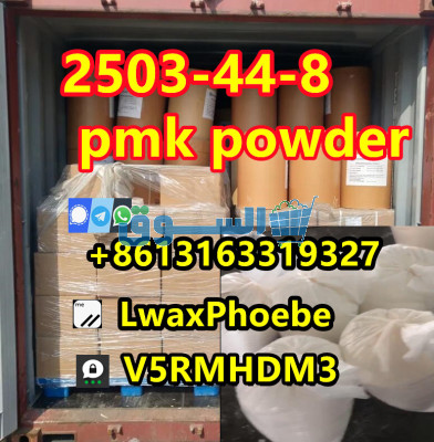Holland New Pmk powder CAS 2503-44-8/28578-16-7 spot stock