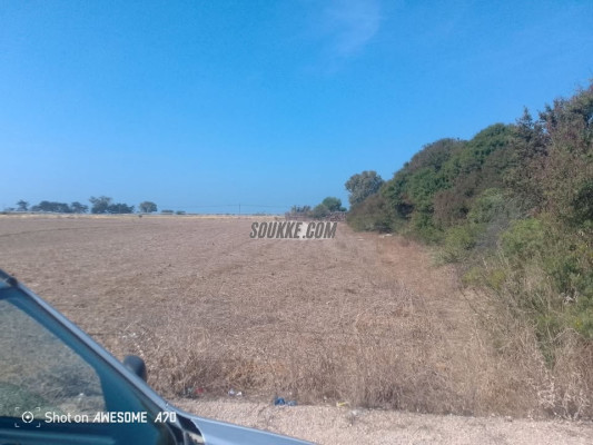 Terrain titré briyich trik asila 700m² b 45 milion Kayan rokhsa