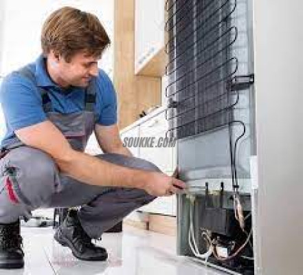 وكلاء صيانة ثلاجة ايديال ايليت ههيا 01154008110