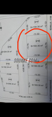 سيد الداودي